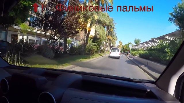 Испания, Торревьеха.