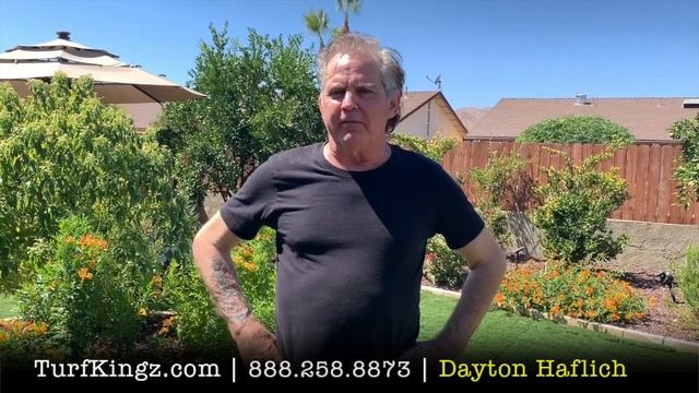 How Much Does Artificial Grass Cost?
