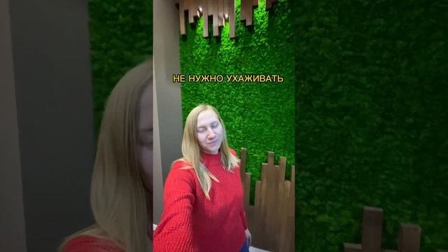 Из чего стена!?