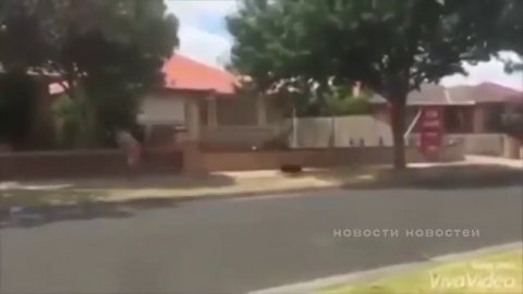 Что ТВ сделало с людьми. Новости Новостей