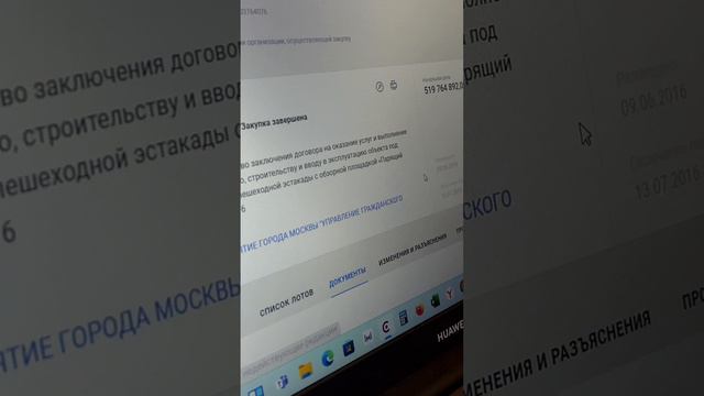 сколько потратило государство на парящий мост в Москве