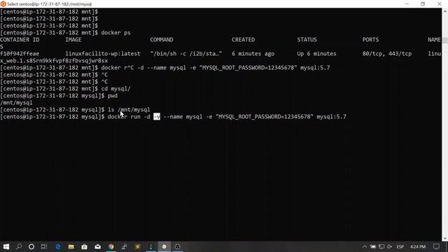 59. Bind Volumes Map folders to your container || Docker, From Zero To Hero