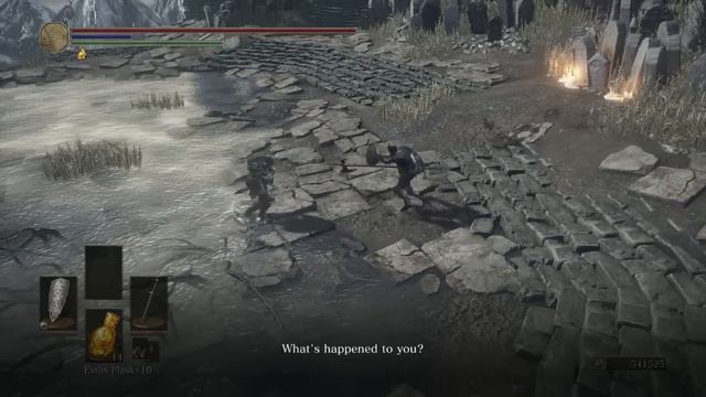 Dark Souls 3 - Anri of Astora vs Horace the Hushed