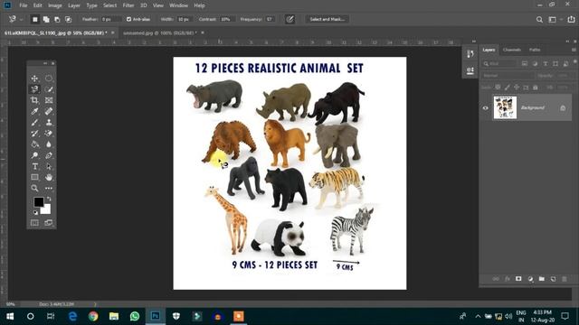 How to use Lasso  Quick selection Tool in photoshop cc versions  Photoshop tutorials tamil