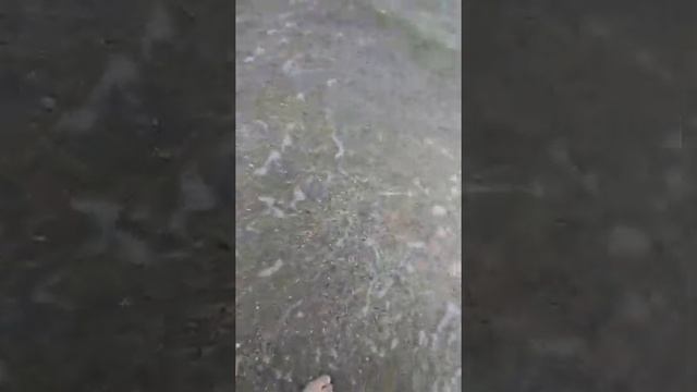 Штиль на дальней косе