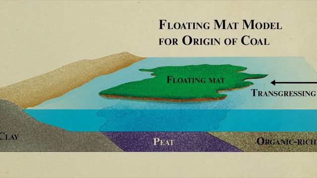 What Do Floating Log Mats Have to Do with Noah's Flood? - Dr. Steve Austin