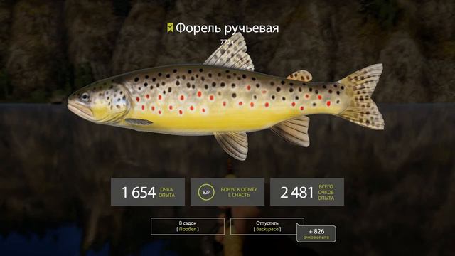 Русская Рыбалка 4 - река Белая форель и хариус... Даже трофейный