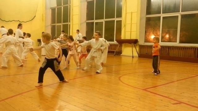 Школа традиционного карате   до Сётокан Токукай первая неделя обучения