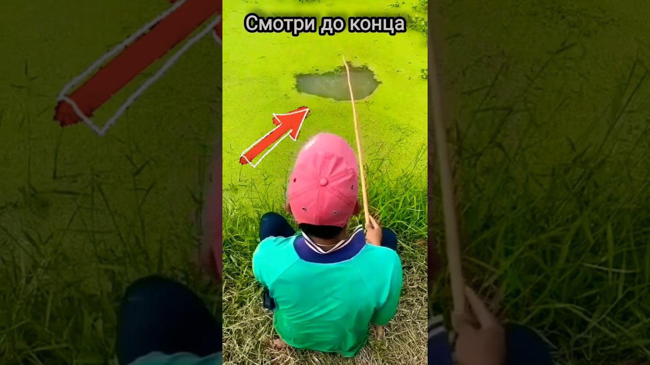 ⚠️⚠️⚠️Это ВООБЩЕ что такое❓️❓️❓️СМОТРЕТЬ до КОНЦА❗️❗️❗️#shortsvideo