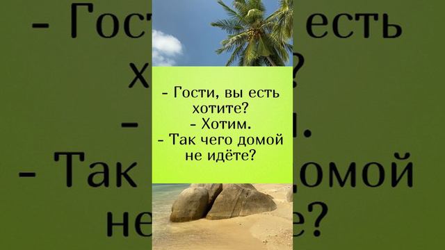 Шучу о гостях