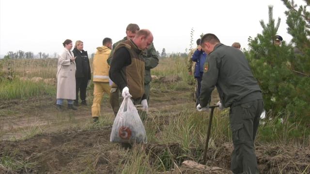 В Воронежской области, в рамках Акции «Сад памяти», посажено почти полтора миллиона новых деревьев