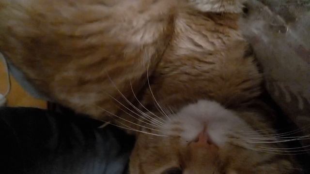 А что делать? Если такая работа сон охранять!