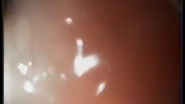 20121108 135405 SVideo 1