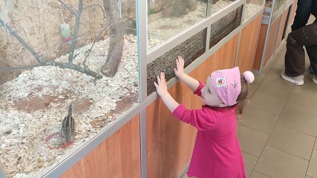 VID_20230528_153431.mp4