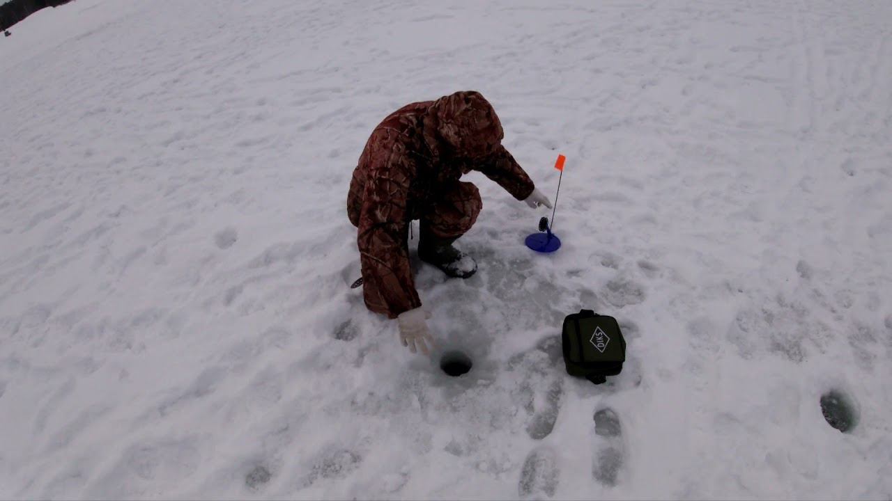 Карпов пруд 03.01.22.