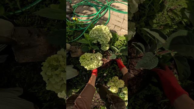 Посадили Самарскую Лидию, там ей и место