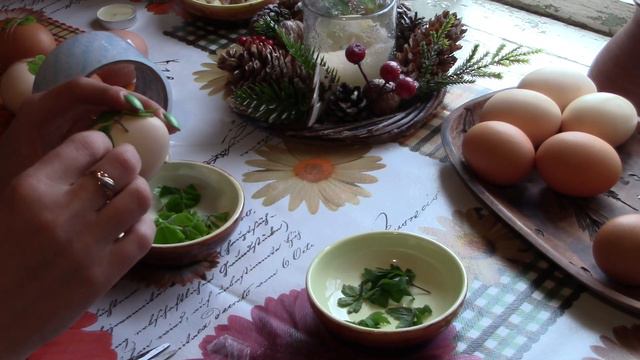 Эксперимент с ольхой Как это было Татьяна Беспалова