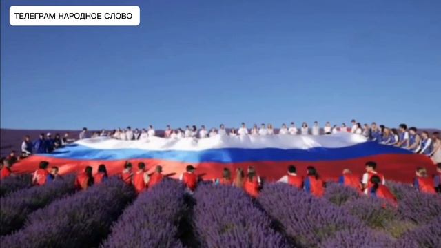 В Крыму развернули огромный флаг России на лавандовых полях