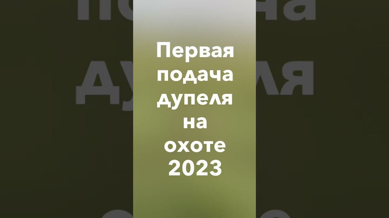 Первая подача на охоте РОС Гай Фрэя