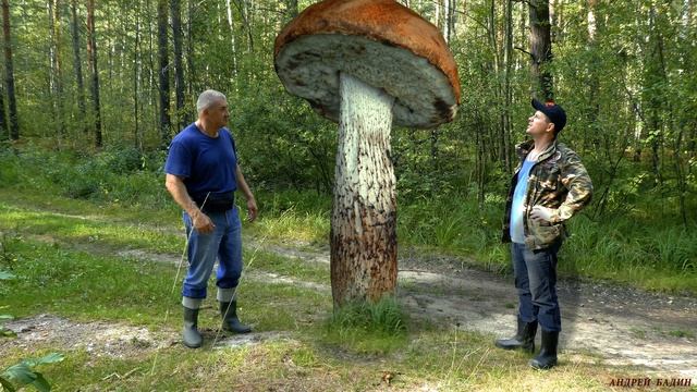 ЧУДО - ГРИБ