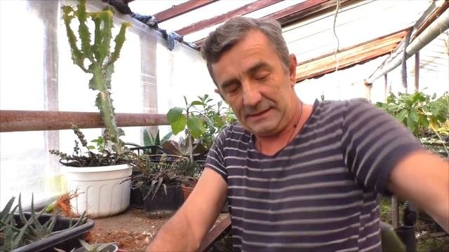 Подготовка к выставке Ростов феерия цветов.