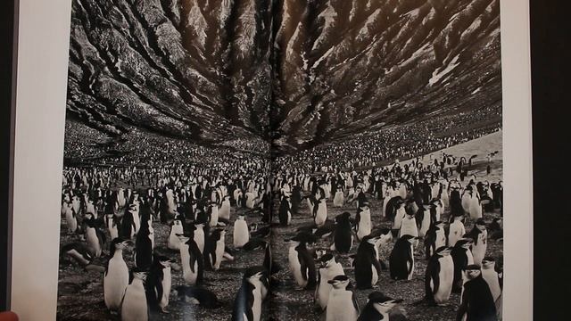#128 CAMERA book review: Genesis by Sebastião Salgado