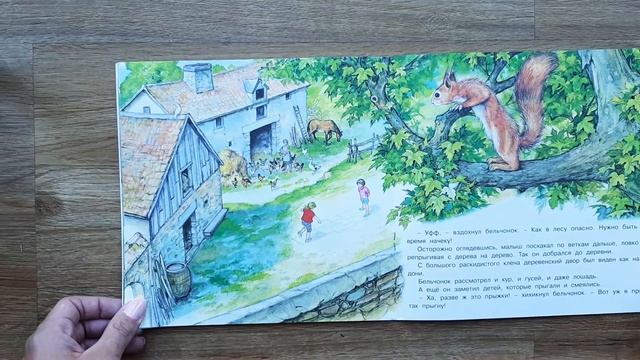 Приключения бельчонка. Читаем детям. Серия Познаем мир вокруг нас.