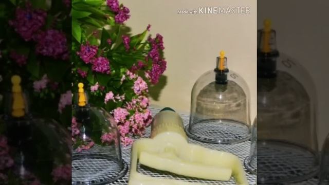 Лечение пиявками  в Уфе