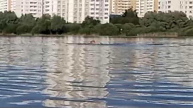 🌊🏊🏻♀️✨Утро....наше все..