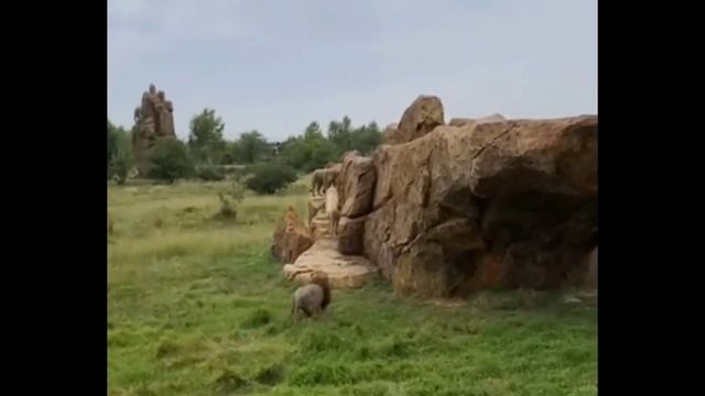 Чёрный ноябрь 20-го года повторяется? ТАЙГАН