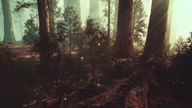 Fairy Tale Fantasy Magic Background Music For Video Projects, Documentary & Film