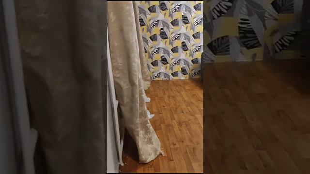 г.Новосибирск, ул.Гоголя 3а аренда