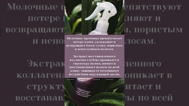 Двухфазный увлажняющий кондиционер для волос от Constant Delight