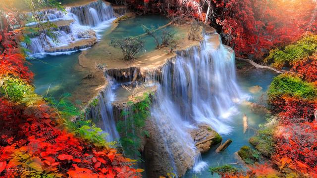 3 HOUR Relaxing Piano Music with Nature Sounds - Birds Singing for Sleep, Focus, Study