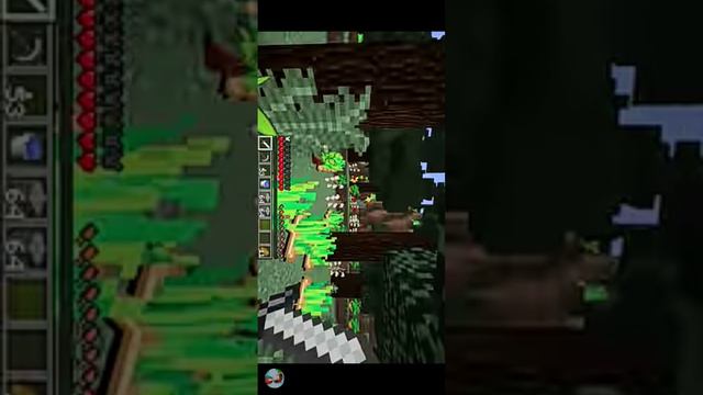 SVID_20240220_175847_1.mp4