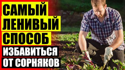 ✔ Биогард средство от сорняков цена купить 👍 Гербициды двудольные сорняки 🎯