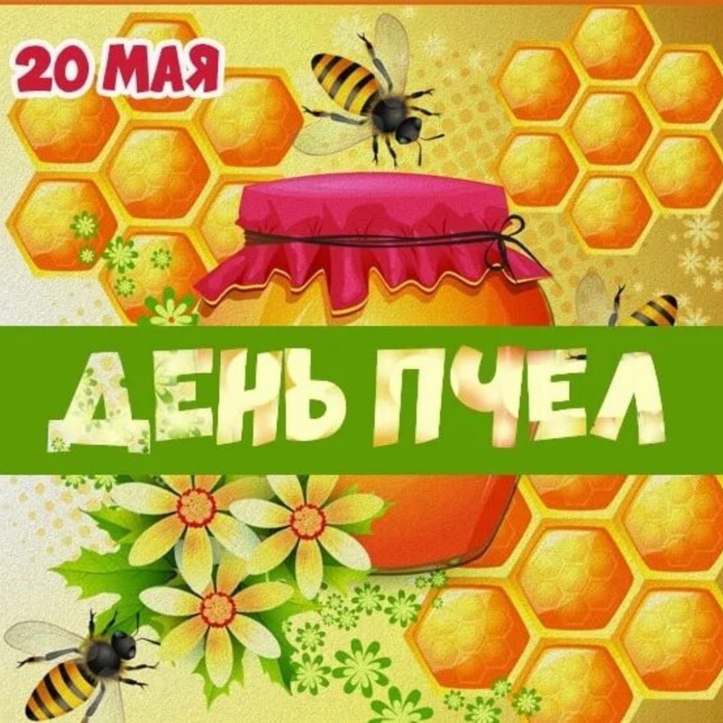 Всемирный день пчел