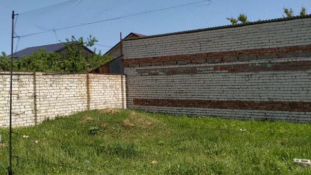 Обзор орнитологической сетки от Влада Ратникова.