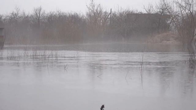 Паводка на Палессі