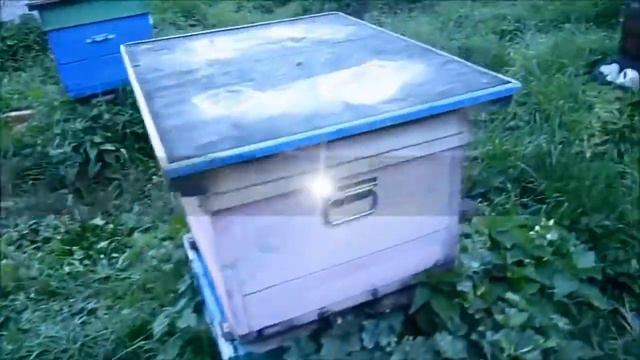 Как быстро откачать мед 3