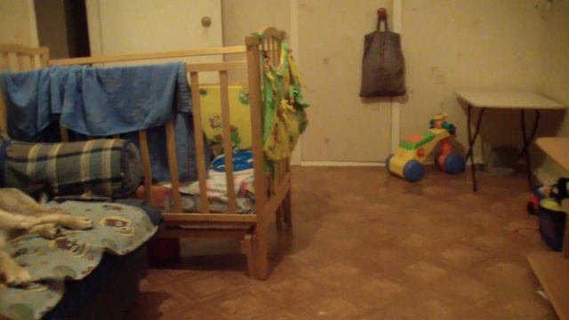 маленький мальчик зажигает  под Верку Сердючку