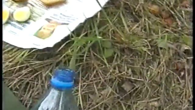 Горячая кружка борща.