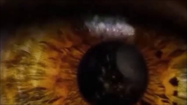 Brigitte M - Send me an Angel