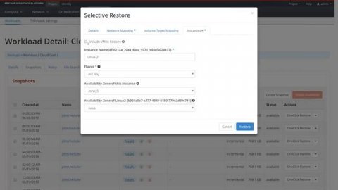 Trilio for Red Hat OpenStack The Missing Link for Cloud Native Data Protection