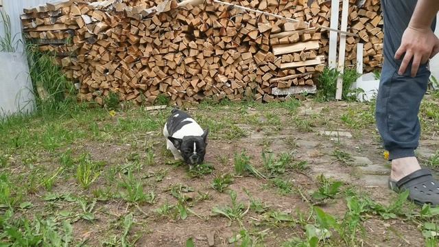 YouCut_20220701_161646653.mp4