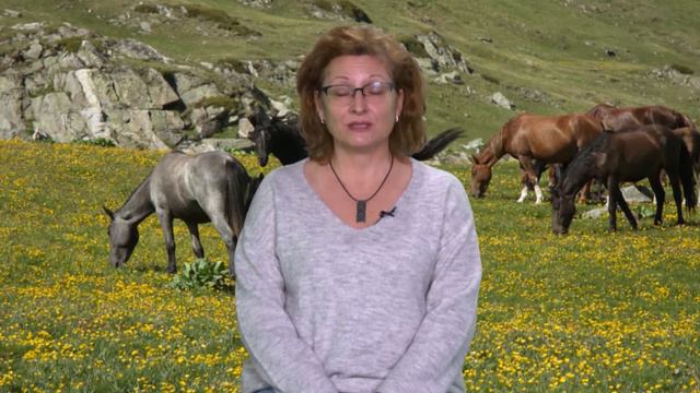 АГРОФОРУМ: Застраховането – една от горещите теми през 2019 г.