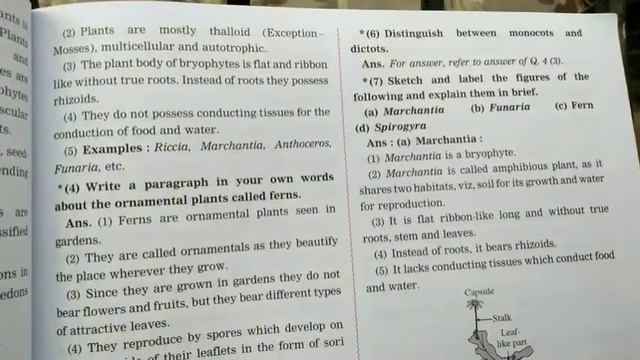 6.Classification of Plants /Science 2 - Digest Notes : 9th std