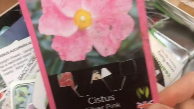 Opinions and recommendations on plants I grow in my garden | Part 1