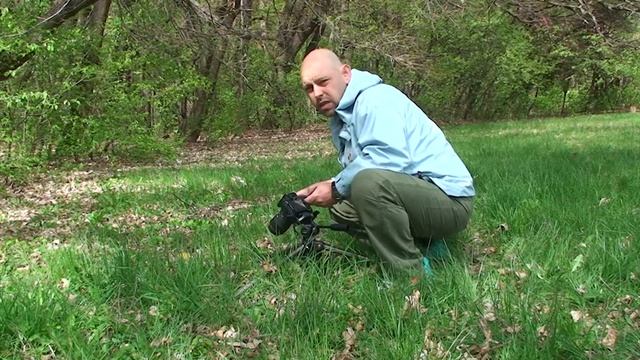 Макро фотография # 2 Снимане на неподвижни обекти.