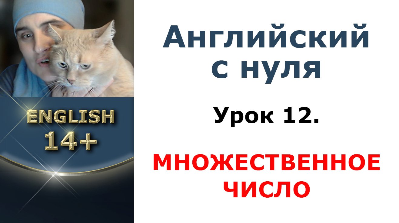 Урок 12. Множественное число